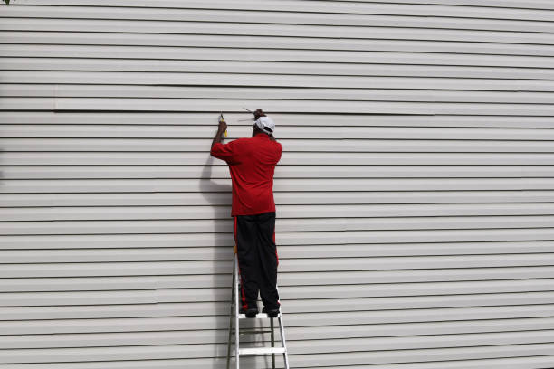 Best Steel Siding Installation  in Biloxi, MS
