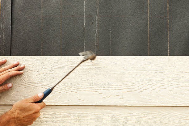 Best Insulated Siding Installation  in Biloxi, MS